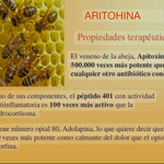 Si el dolor quieres transformar, él veneno de abeja debes usar